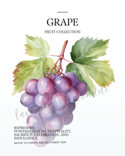 Load image into Gallery viewer, Fruit Collection