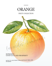 Load image into Gallery viewer, Fruit Collection