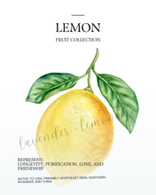 Load image into Gallery viewer, Fruit Collection
