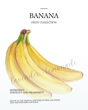 Load image into Gallery viewer, Fruit Collection