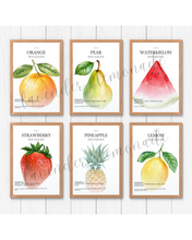 Load image into Gallery viewer, Fruit Collection
