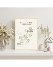 Load image into Gallery viewer, Greenery Collection