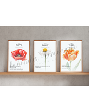 Load image into Gallery viewer, Floral Collection